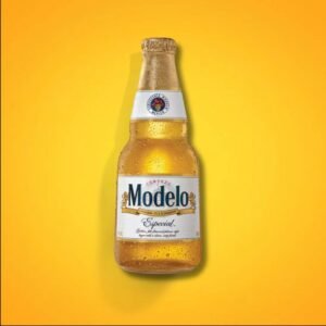 MODELLO ESPECIAL